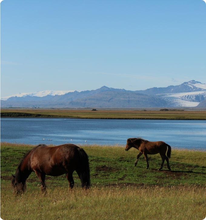Islande